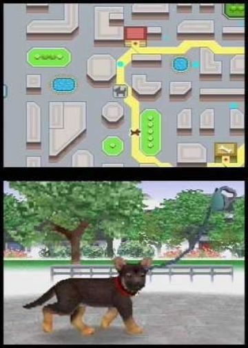 Immagine -10 del gioco Nintendogs: Labrador and Friends per Nintendo DS